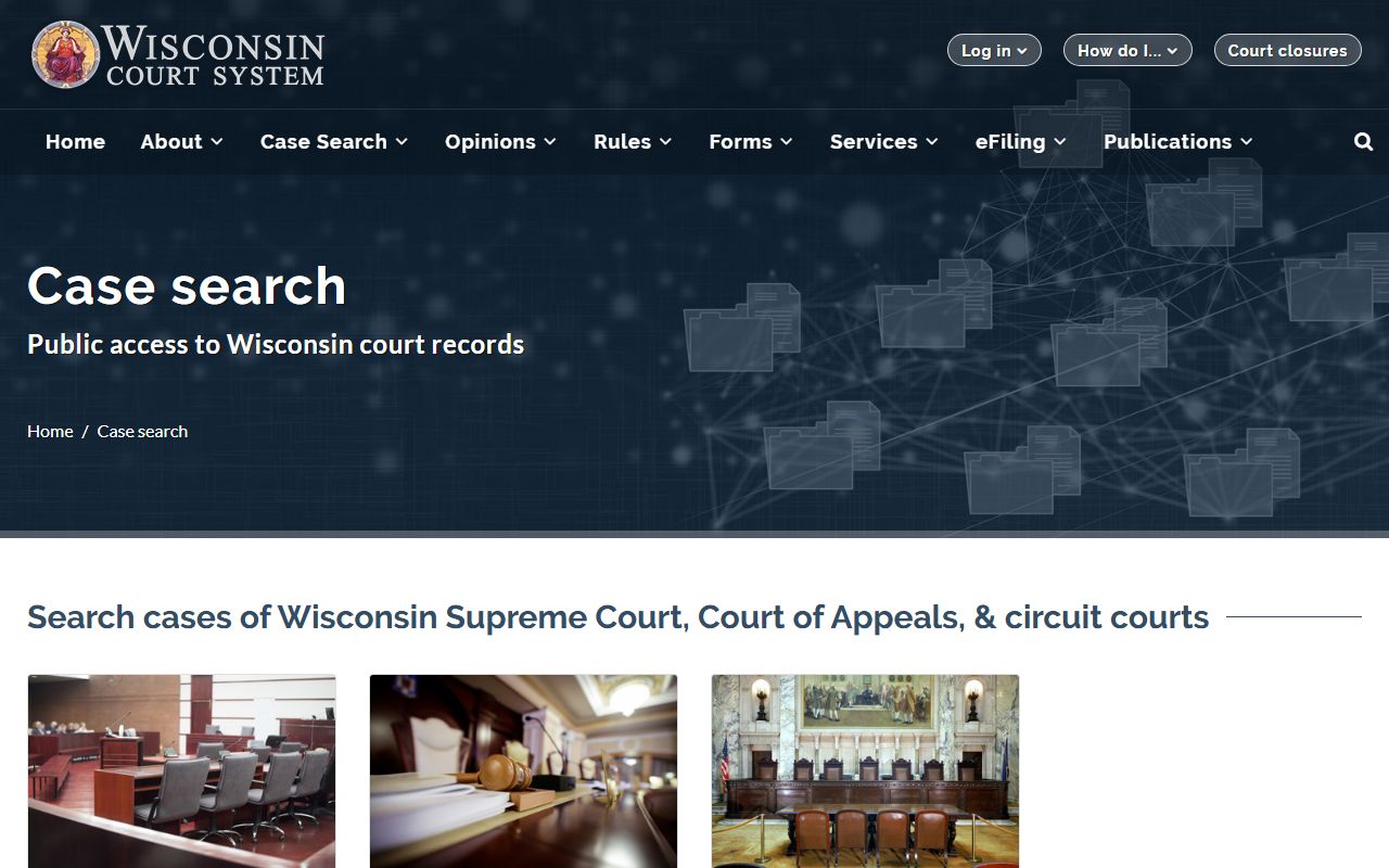 Wisconsin Court Docket case search options